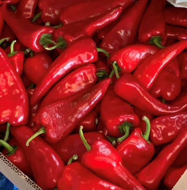 CHRIMSON PEPPER